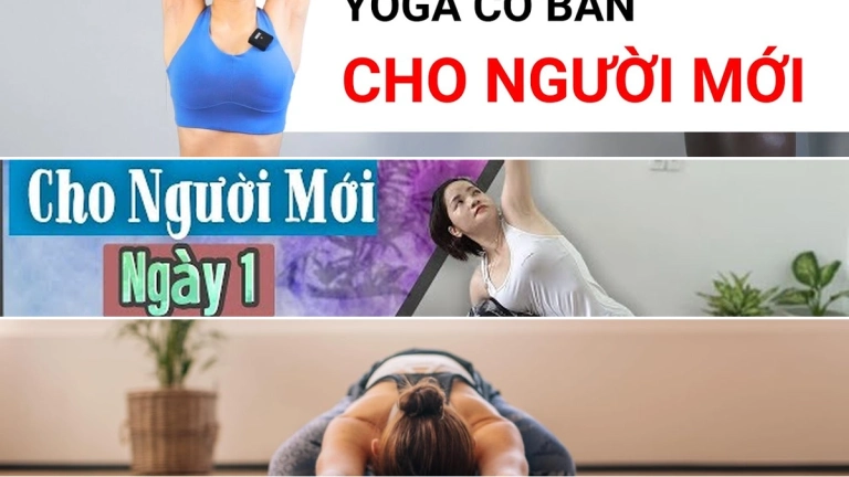 Hướng dẫn tập yoga tại nhà cho người mới bắt đầu toàn diện