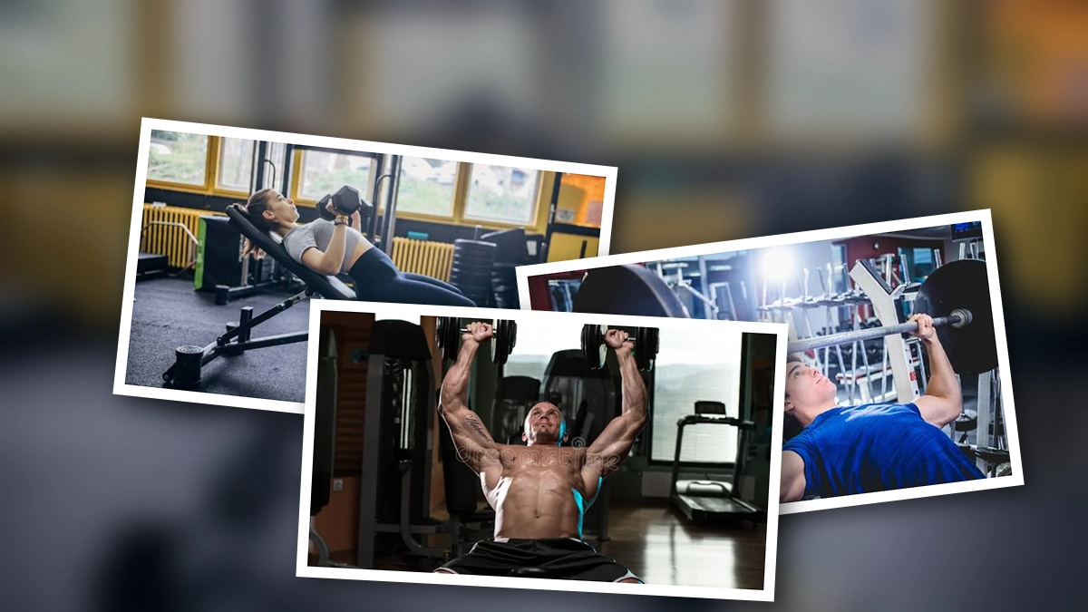 Incline Bench Press: Bài Tập Tối Ưu Cho Cơ Ngực Trên