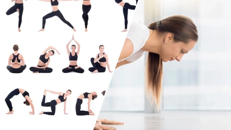 Khám phá 12 tư thế yoga cơ bản cho người mới bắt đầu