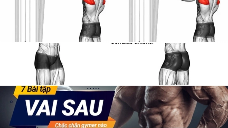 Khám Phá Các Bài Tập Vai Sau Cho Nam Hiệu Quả Tối Ưu Vóc Dáng