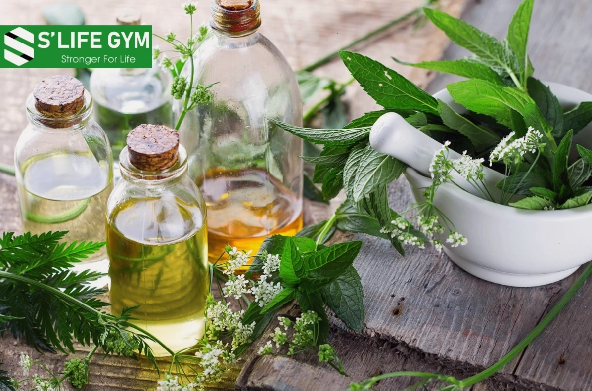 Không gian tập luyện đa dạng tại Slife Gym với các bộ môn Gym, Dance và Yoga