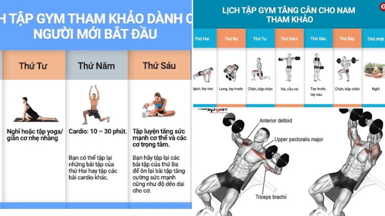 Lịch Tập Gym Cho Người Mới Bắt Đầu Nam: Hướng Dẫn Chi Tiết Từ A-Z