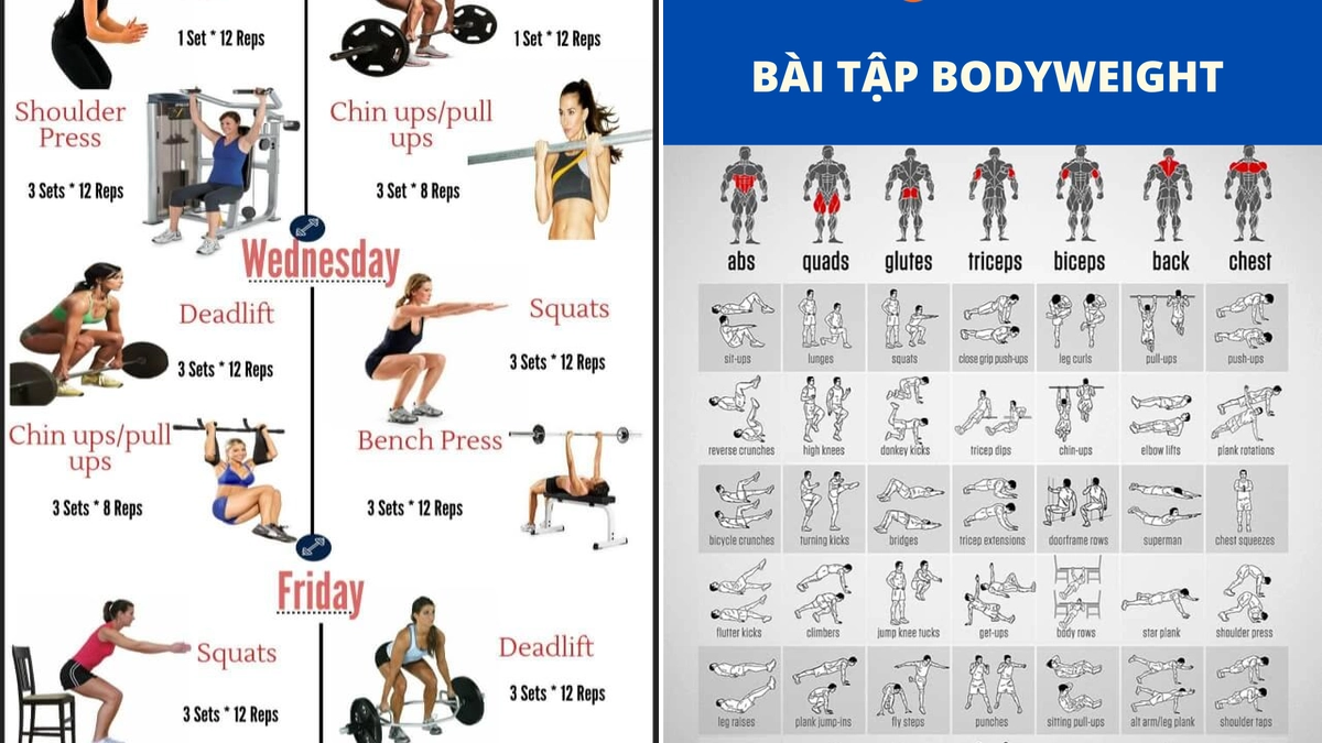 Lịch tập gym cho người mới bắt đầu nữ: Hướng dẫn toàn diện 2026