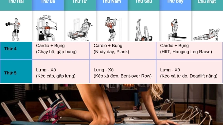 Lịch tập gym cho nữ giảm mỡ: Xây dựng vóc dáng săn chắc toàn diện