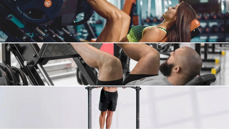 Lịch tập Push Pull Leg: Tối ưu tăng cơ, giảm mỡ hiệu quả