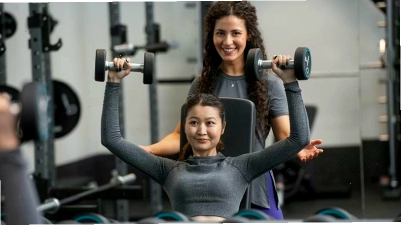 Lịch trình tập luyện Upper Lower Split