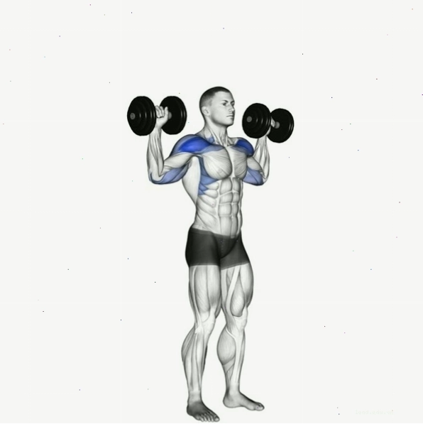 Lợi ích của bài tập Overhead Shoulder Press