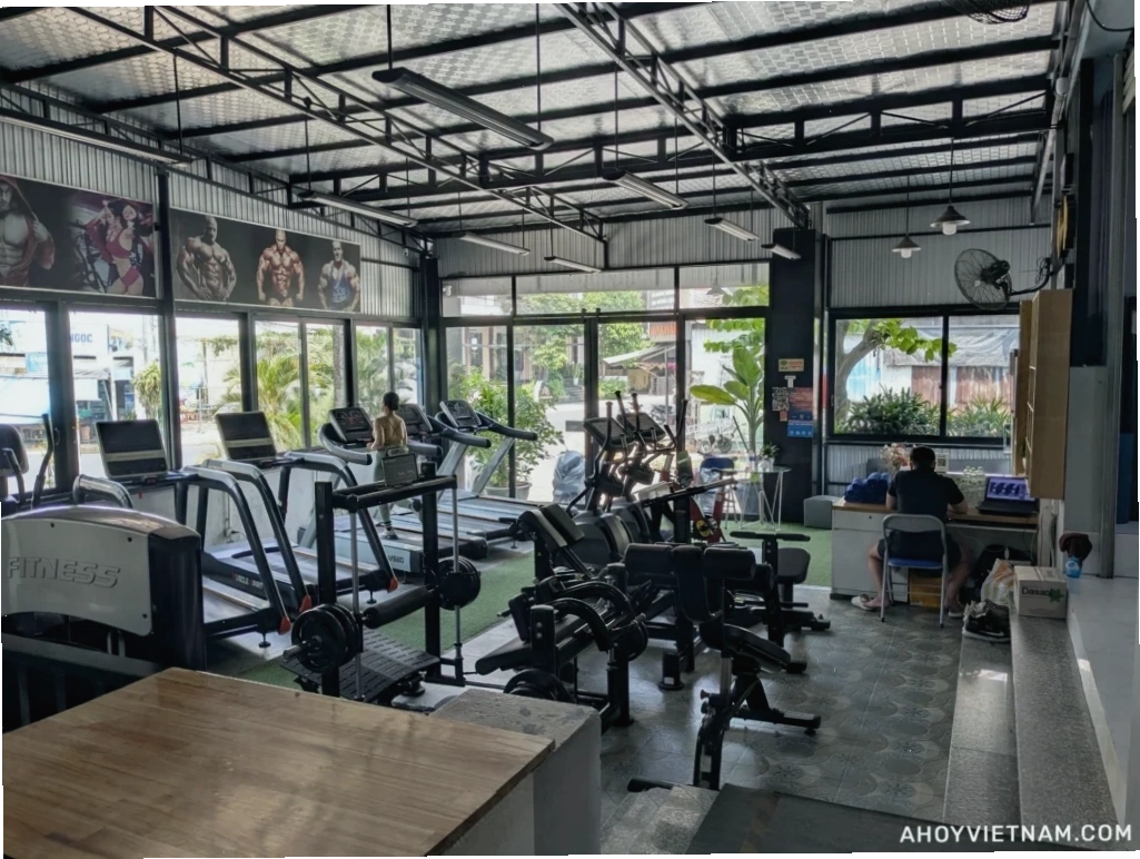 Máy cardio bên trong Fit Nation gym ở Hội An