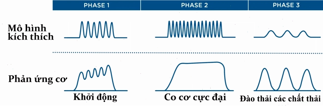 Máy Emsculpt điều trị vùng mông
