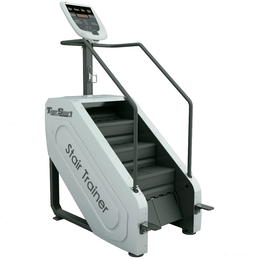 Máy tập leo thang Tiger Sport TM-X200B, một thiết bị cardio đa năng