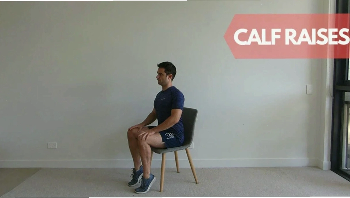 Máy tập Seated Calf Raise chuyên dụng tại phòng gym