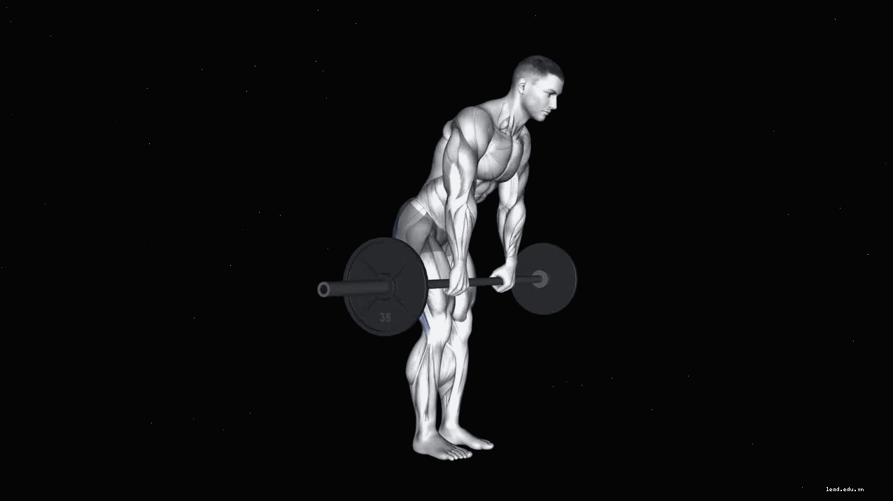 Minh họa các bước thực hiện Seated Leg Curl