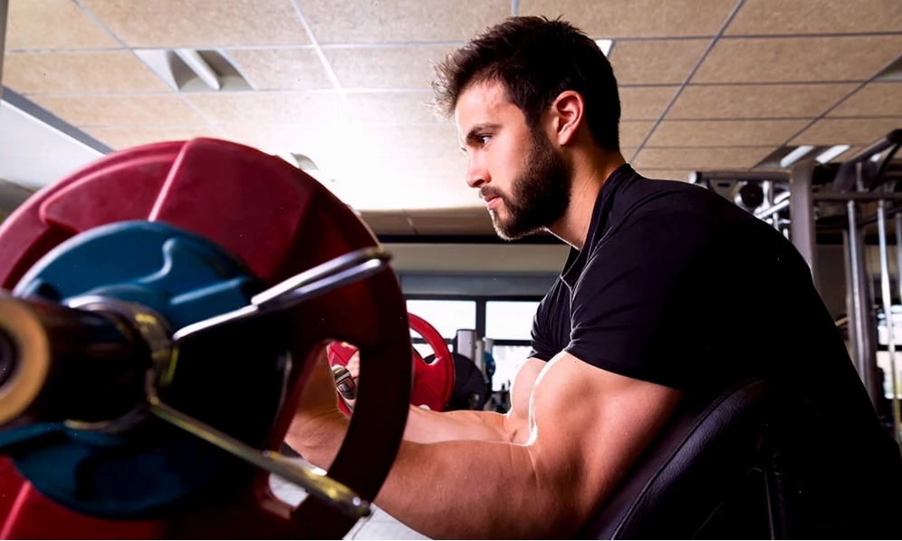 Minh họa các lợi ích của bài tập Preacher Curls