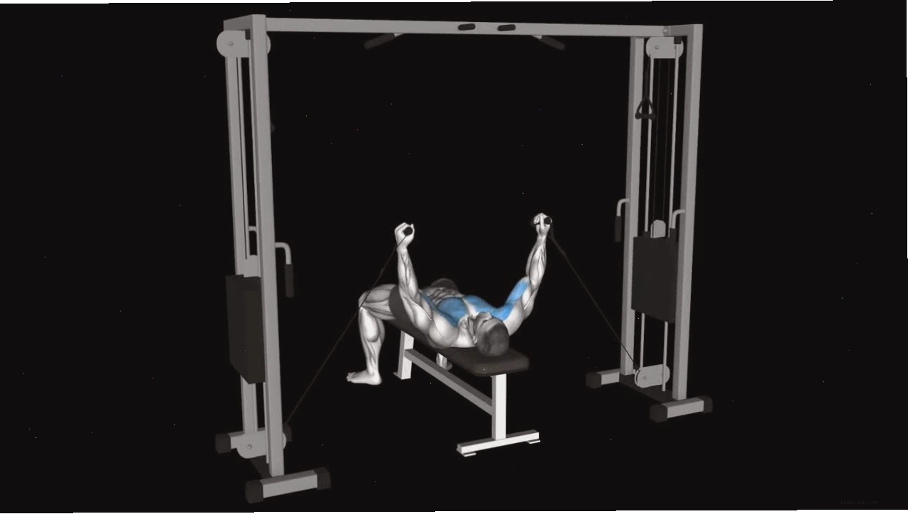 Minh họa các nhóm cơ được tác động bởi flat barbell bench press
