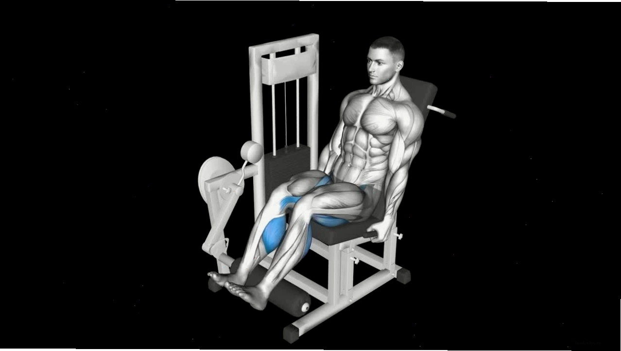 Minh họa các nhóm cơ hoạt động khi thực hiện stiff legged deadlift