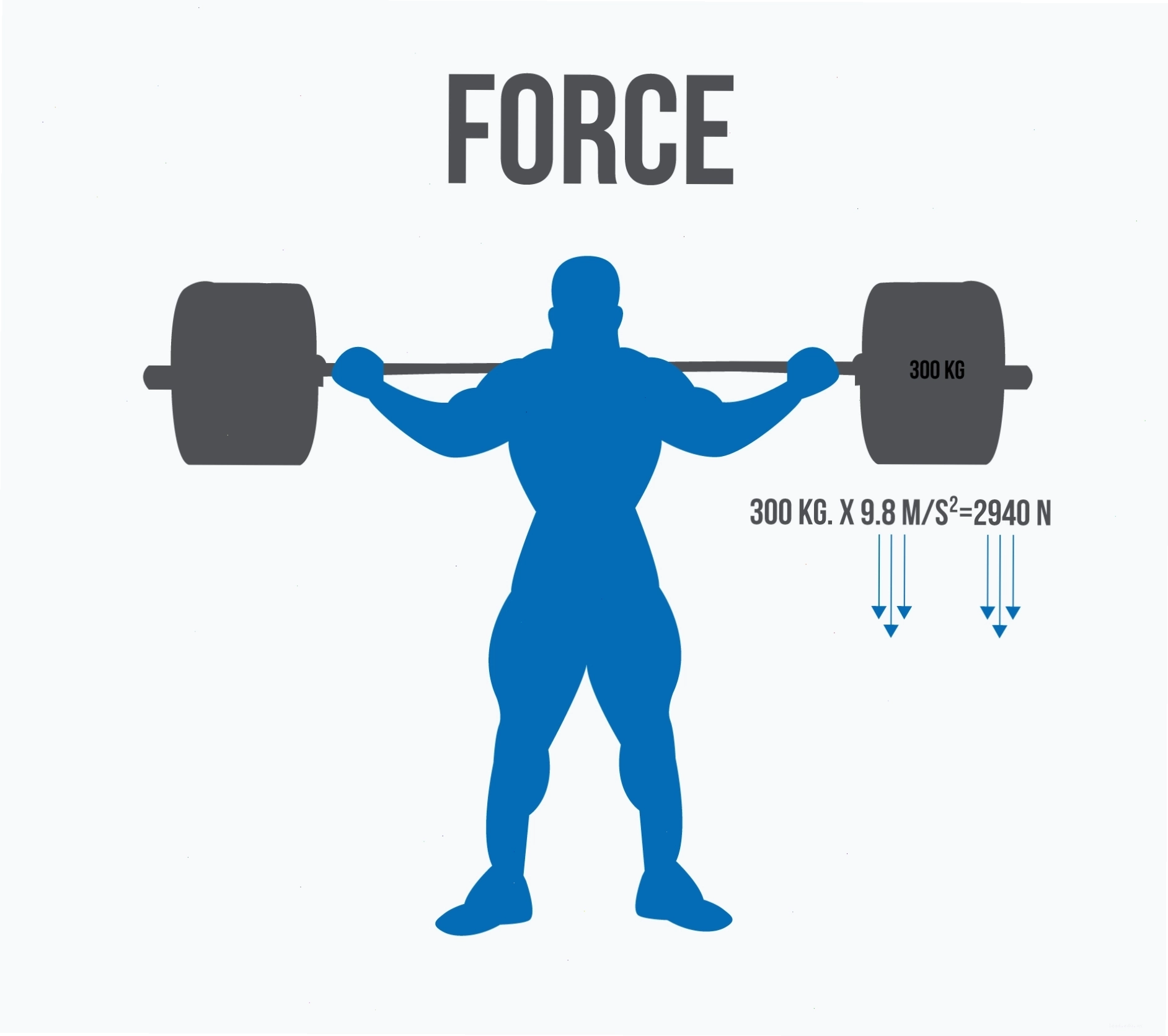 Minh họa các nhóm cơ tham gia vào chuyển động Conventional Deadlift