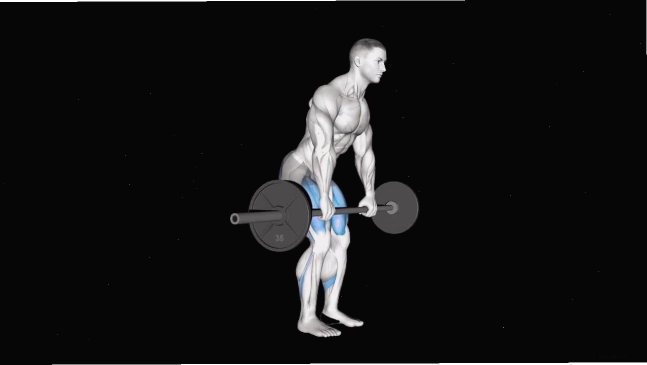 Minh họa kỹ thuật thực hiện sumo squat cơ bản