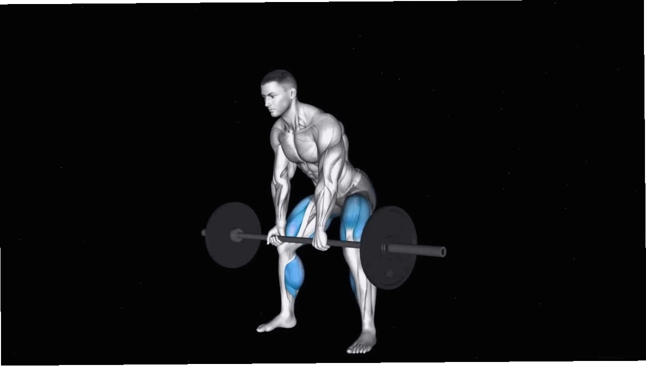 Minh họa lỗi sai khi tập Seated Leg Curl