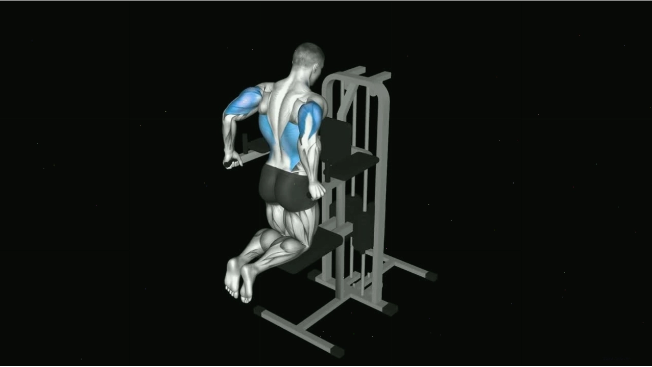 Minh họa sự khác biệt giữa rope push down và các biến thể khác