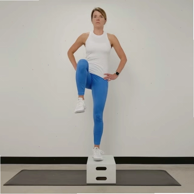 Minh họa vị trí cơ gluteus medius trên cơ thể