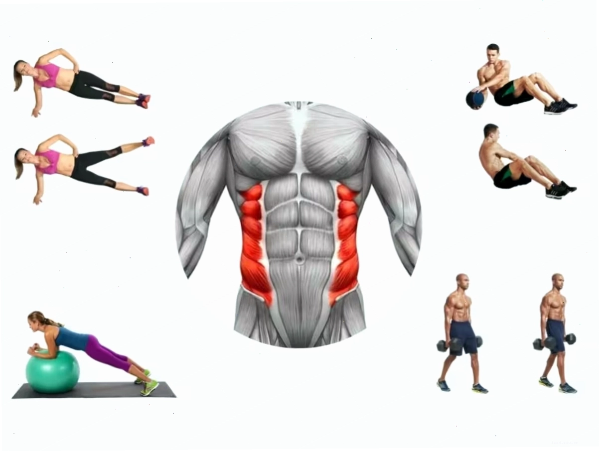 Minh họa vị trí và cấu tạo của cơ liên sườn trong cơ thể người