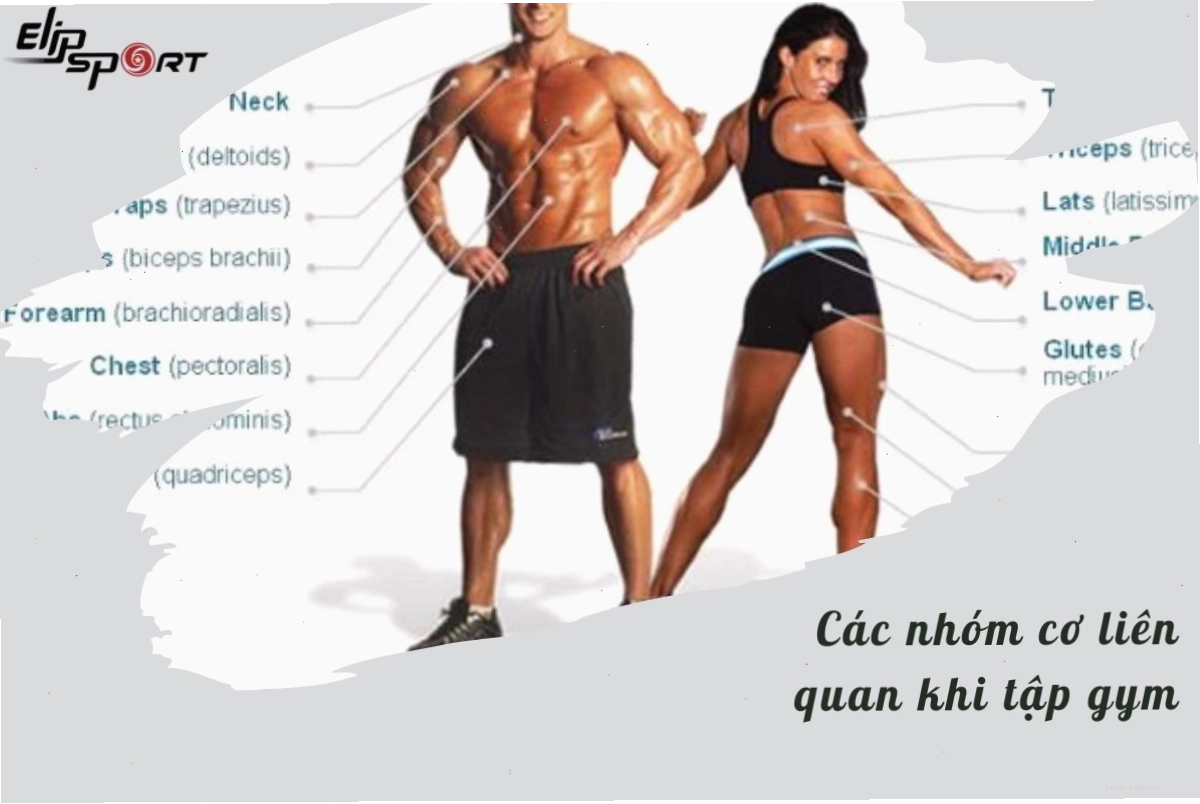 Một người đang xem lịch tập trên điện thoại