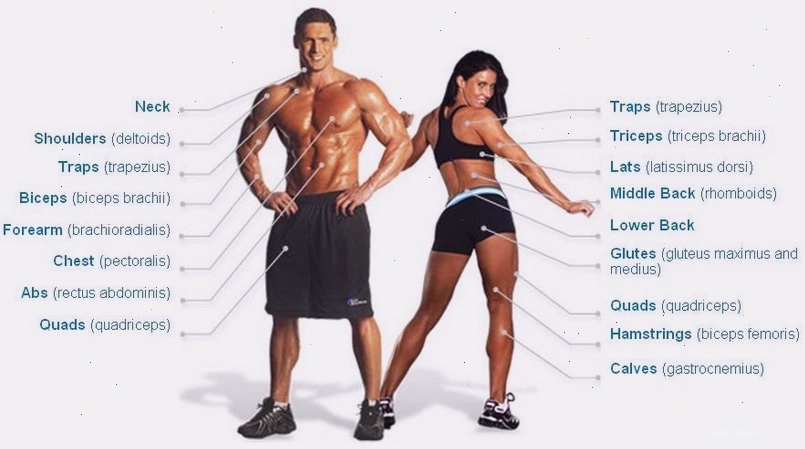 Một người tập gym đang thực hiện bài tập tạ với thái độ tập trung