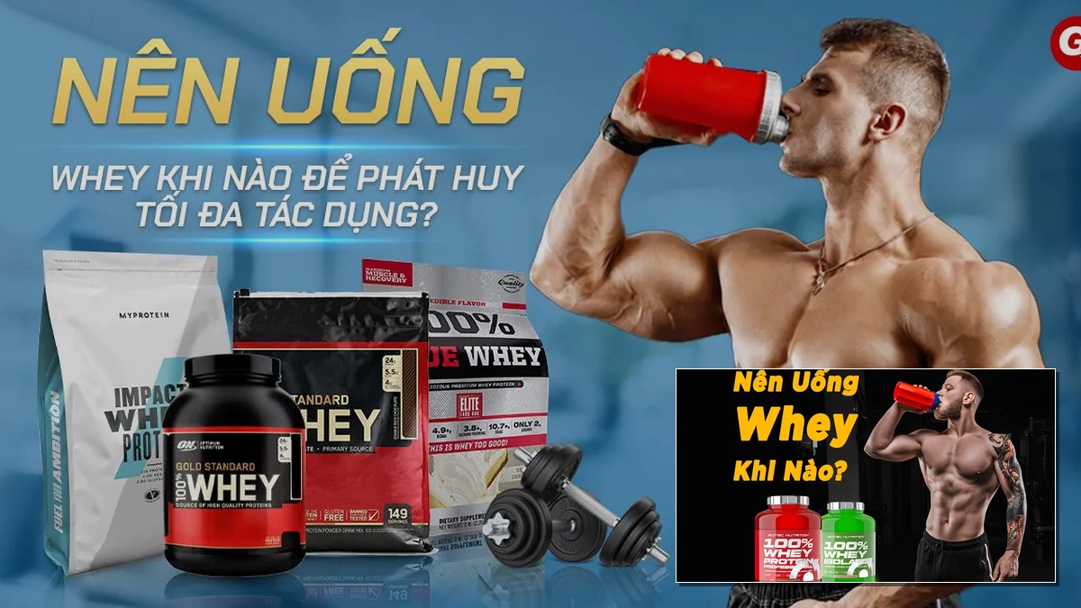 Nên Uống Whey Trước Hay Sau Khi Tập Gym Để Đạt Hiệu Quả Tốt Nhất 2026?
