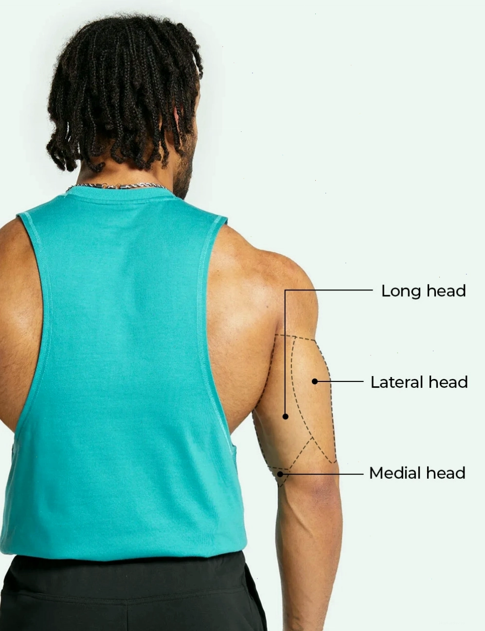 Người đàn ông thực hiện bài tập nhúng người trên xà kép (Tricep Dips)
