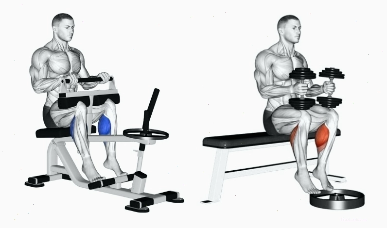 Người đàn ông thực hiện bài tập Seated Calf Raise với tạ trên ghế