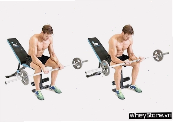 Người đang thực hiện bài tập xách tạ đi bộ với hai tạ đơn