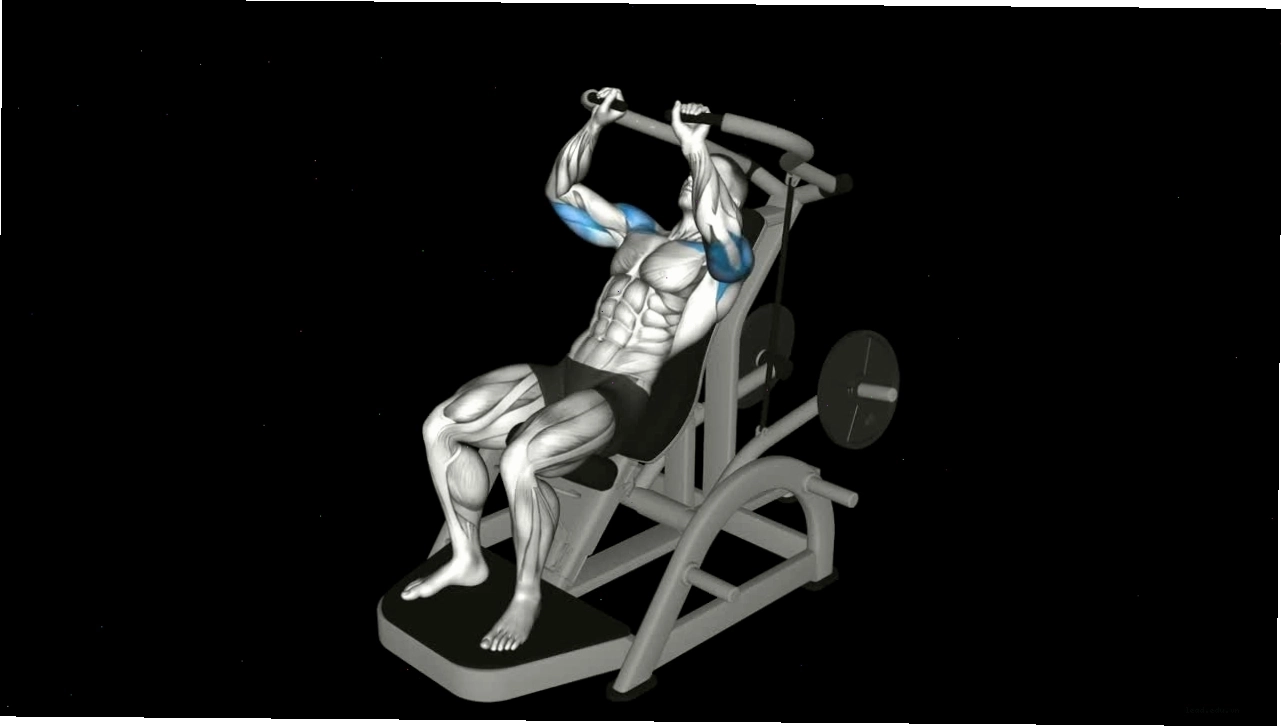 Người hỗ trợ (spotter) đang theo dõi người tập bench press