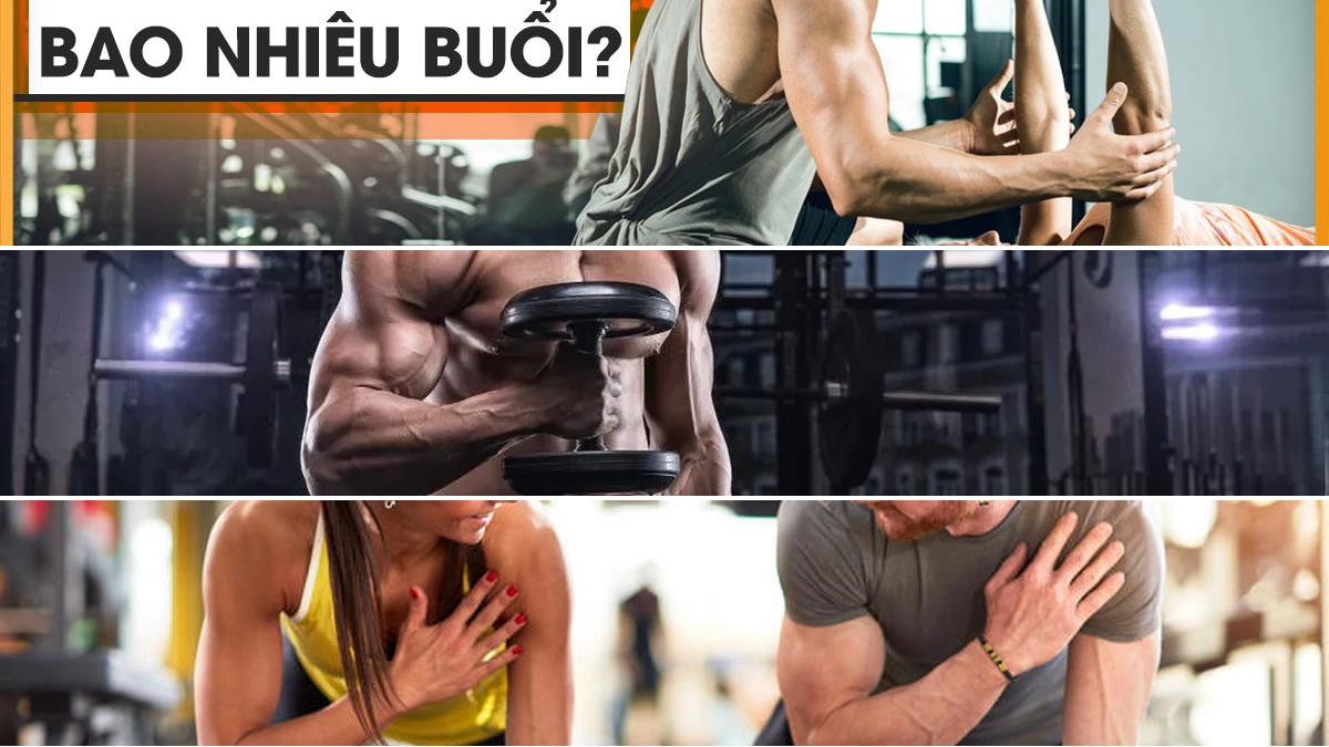 Người mới tập gym nên tập bao nhiêu ngày 1 tuần để hiệu quả?
