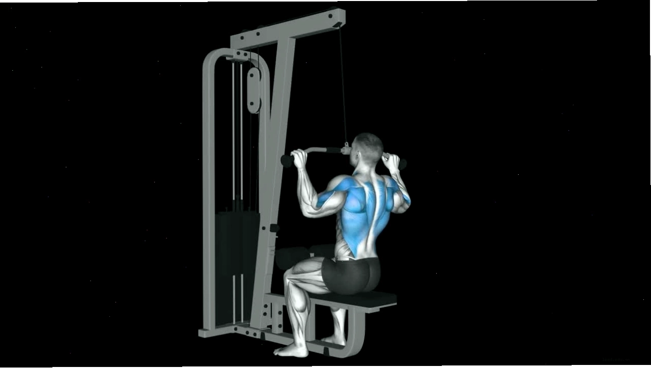 Người tập thực hiện bài tập T Bar Row với tạ đòn và tay cầm V