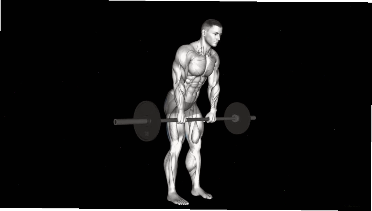 Người tập thực hiện Barbell Stiff Legged Deadlift với tạ đòn