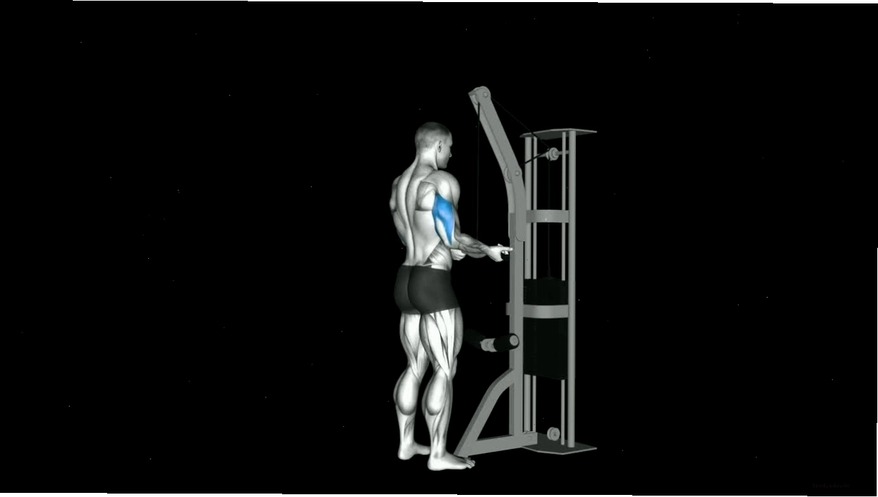 Người tập thực hiện động tác diamond push up với form chuẩn