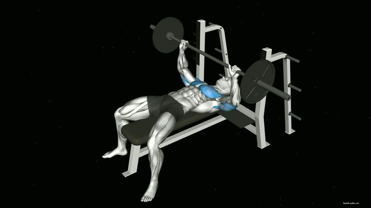Người tập thực hiện động tác dips machine với tư thế chuẩn