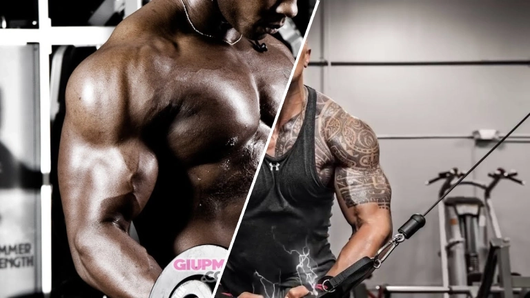 Nhạc Tập Gym Hay Nhất 2026: Playlist Bùng Nổ Năng Lượng