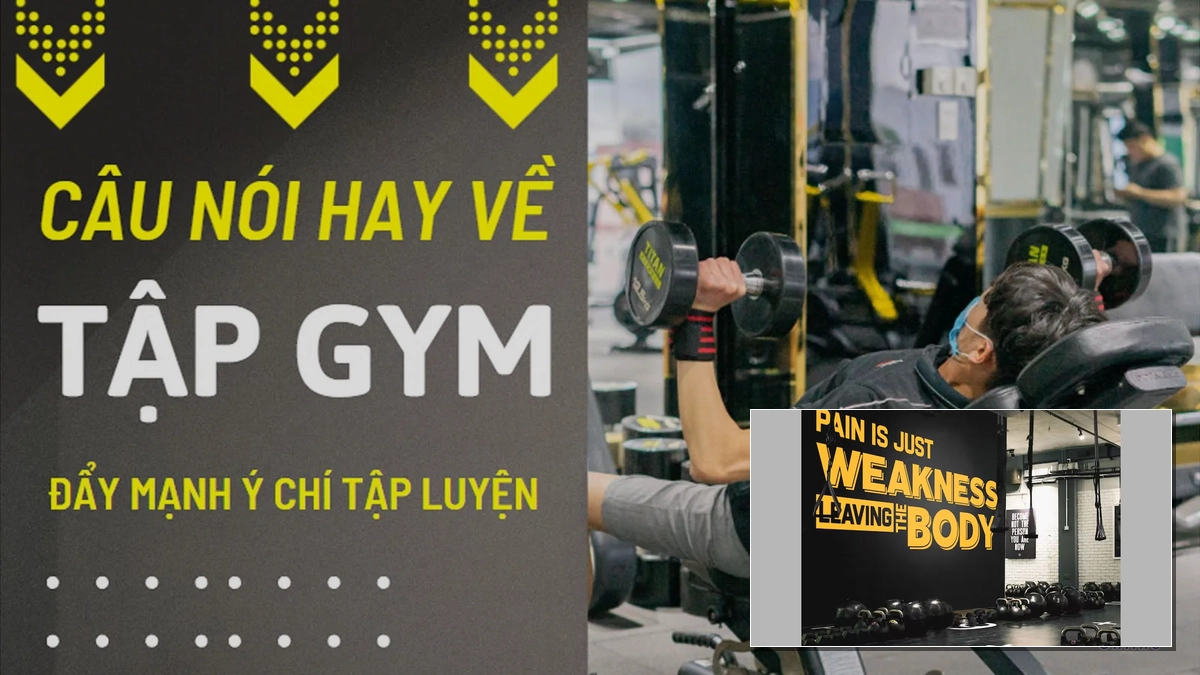 Những câu nói hay về gym: Động lực và cảm hứng chinh phục mục tiêu hình thể
