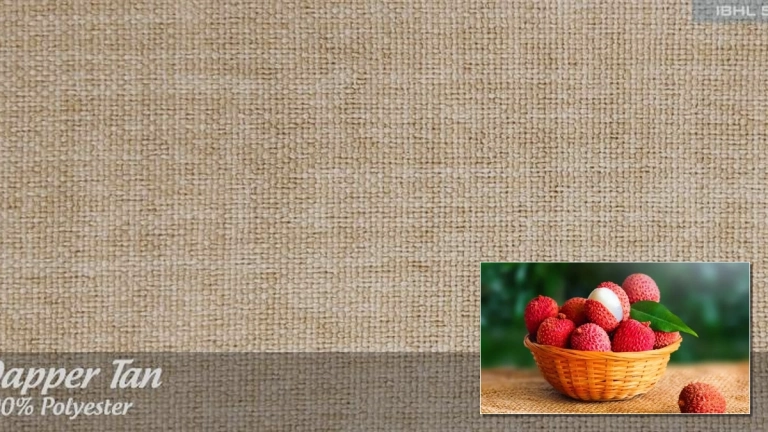 Phân Tích Các Bài Tập Vai Nhỏ Giúp Nữ Giới Sở Hữu Bờ Vai Nuột Nà