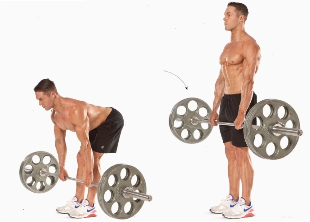 Romanian Deadlift cho cơ đùi sau săn chắc
