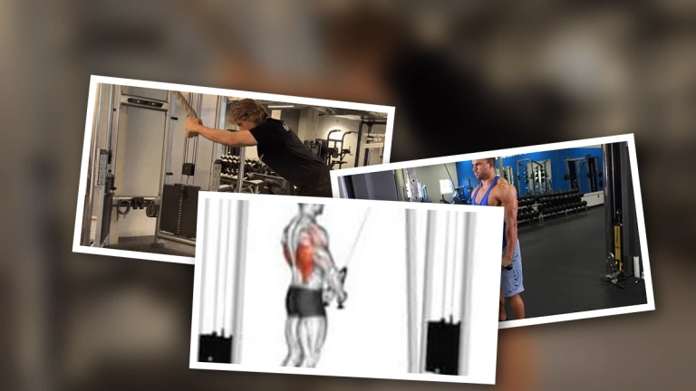 Rope Pull Downs: Hướng Dẫn Chi Tiết Các Bài Tập Cho Lưng, Tay và Cơ Bụng