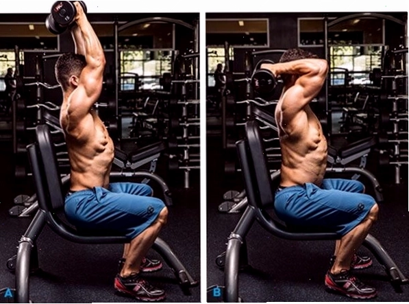 Seated Reverse Grip Overhead Dumbbel Triceps Extension - bài tập cho tay sau