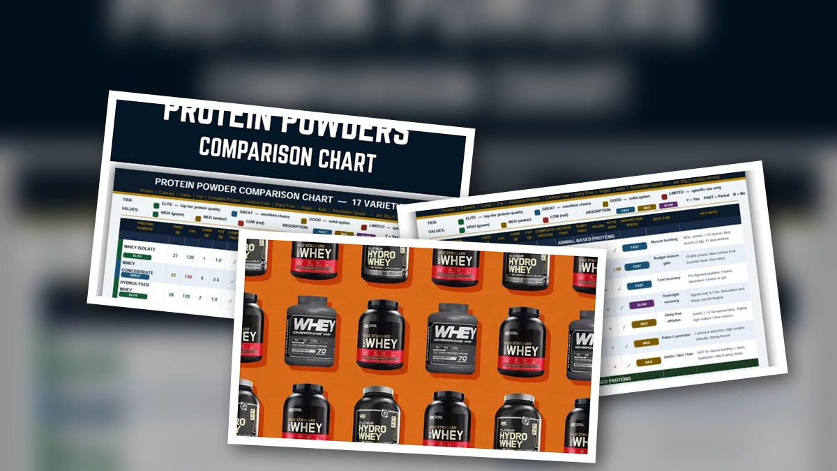 So sánh bột protein: Lựa chọn tốt nhất cho năm 2026