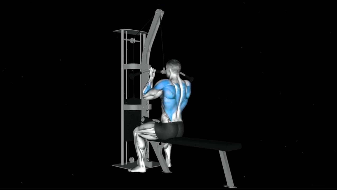 So sánh hình ảnh người tập thực hiện Barbell Row và T Bar Row