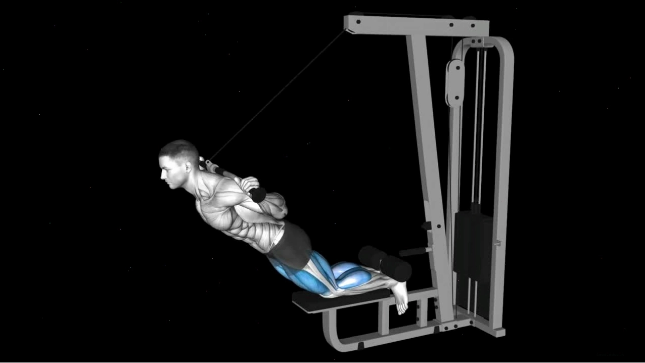 So sánh Seated Leg Curl và Lying Leg Curl