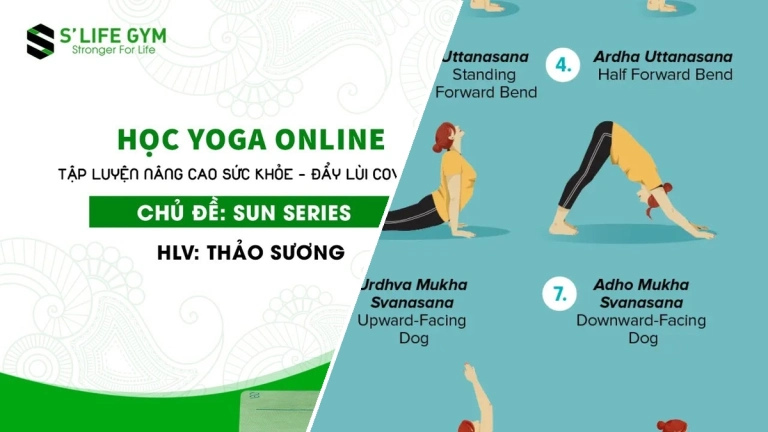 Sun Series Yoga Là Gì? Khám Phá Chuỗi Chào Mặt Trời Toàn Diện
