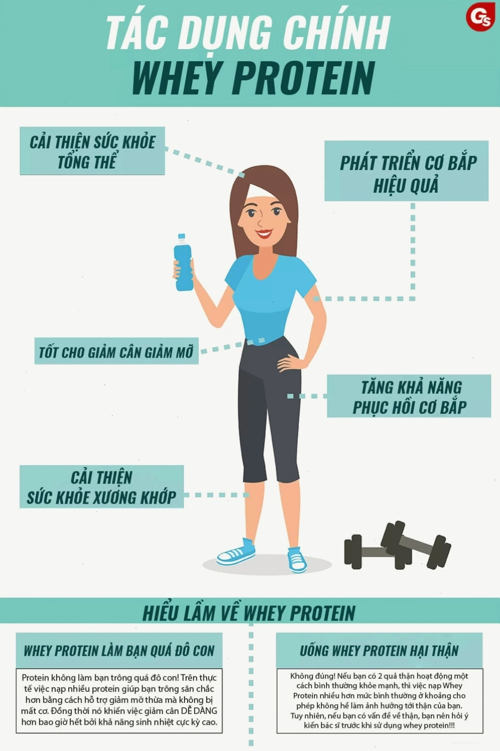 Tác dụng chính của Whey Protein bởi Gymstore