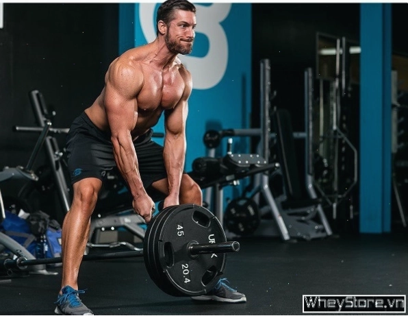 Tập luyện One Arm Dumbbell Row với tạ đơn