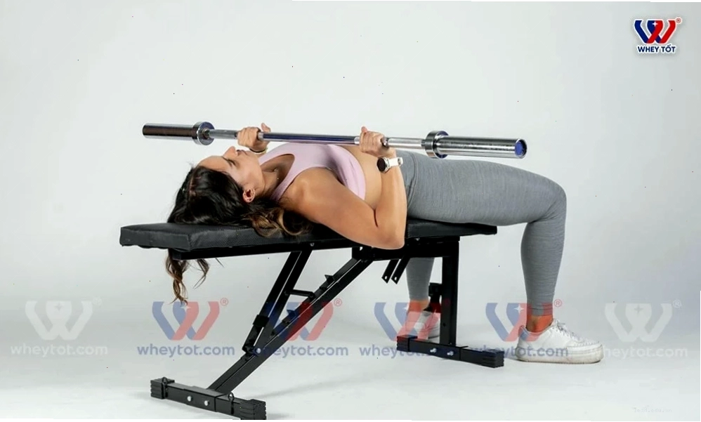 Tập ngực với Barbell Bench Press